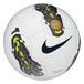 Nike Fotboll Premier Team